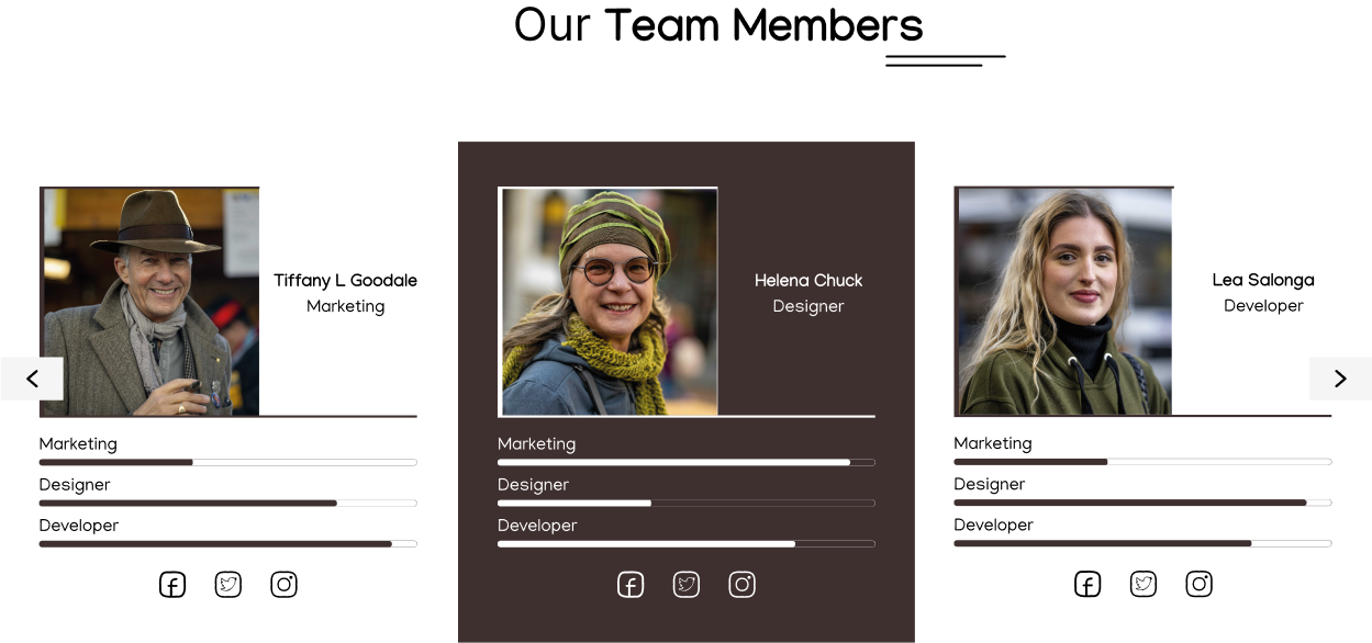 Team members website section