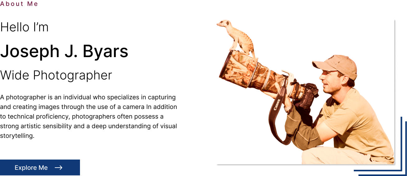 About Section Website