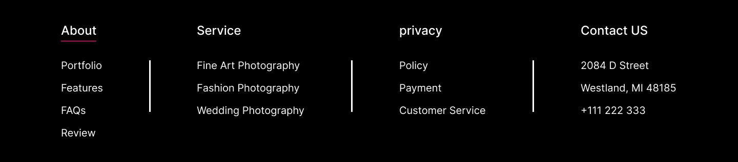 Footer Section Website