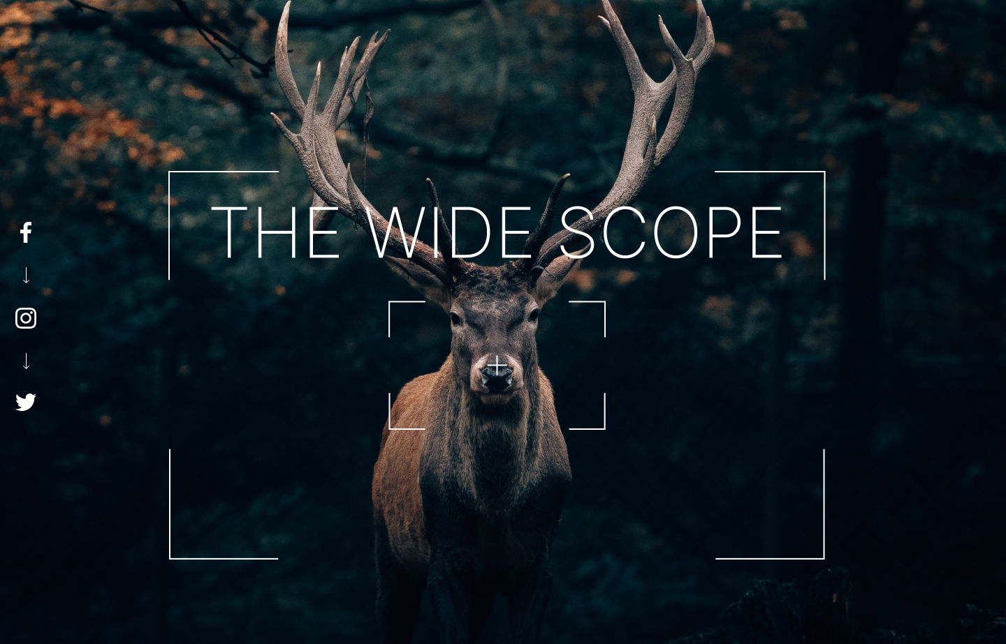 Hero Section Website