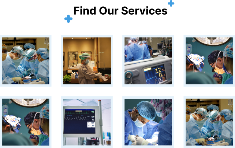 Services Section Website