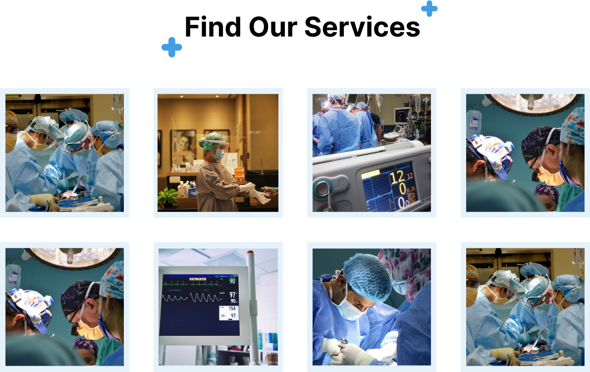 Services Section Website