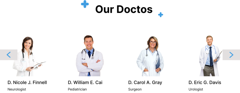 Team Members Section Website