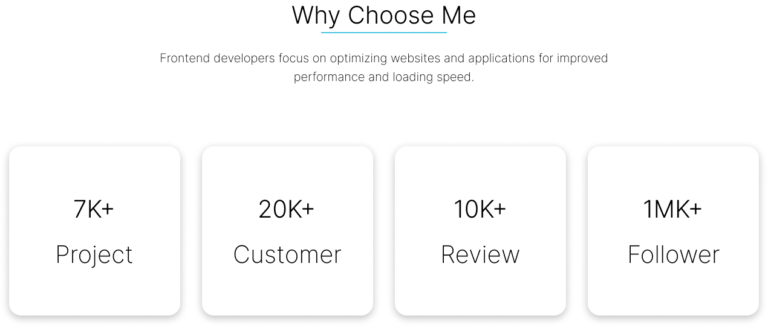 Stats Section Website